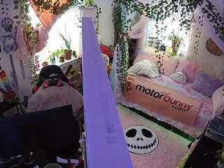 voyeurcam veccasalt 01