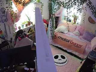 voyeurcam-veccasalt-01
