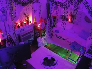 voyeurcam veccasalt 01
