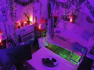 voyeurcam veccasalt 01