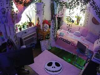 voyeurcam veccasalt 01