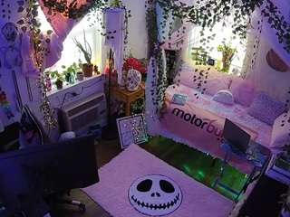 voyeurcam veccasalt 01
