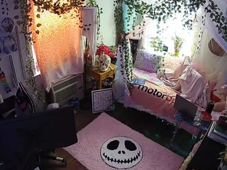 voyeurcam veccasalt 01