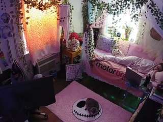 voyeurcam veccasalt 01