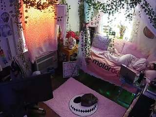 voyeurcam veccasalt 01
