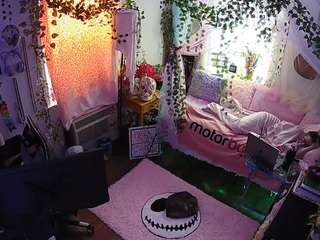 voyeurcam veccasalt 01