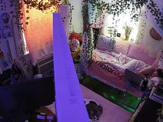 voyeurcam veccasalt 01