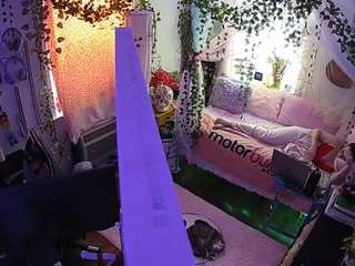 voyeurcam veccasalt 01