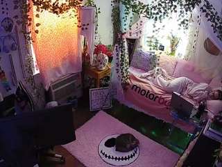 voyeurcam veccasalt 01