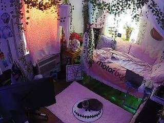 voyeurcam veccasalt 01