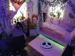 voyeurcam veccasalt 01