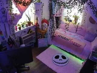 voyeurcam veccasalt 01