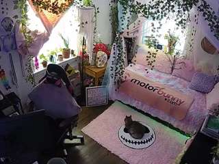 voyeurcam veccasalt 01