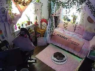 voyeurcam veccasalt 01
