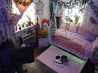 voyeurcam veccasalt 01