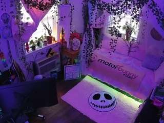 voyeurcam veccasalt 01