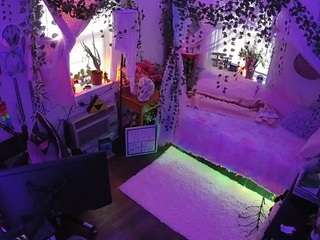 voyeurcam veccasalt 01