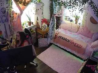 voyeurcam veccasalt 01