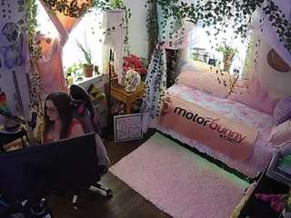 voyeurcam veccasalt 01