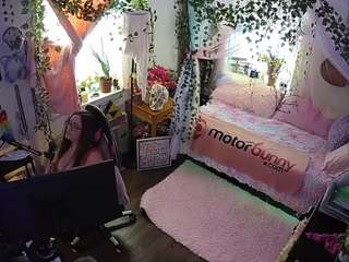 voyeurcam veccasalt 01