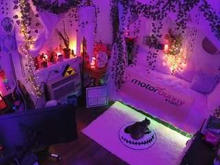 voyeurcam-veccasalt-01 camsoda