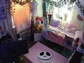 voyeurcam veccasalt 01