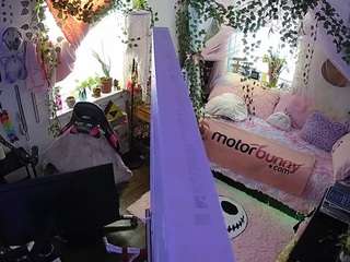 voyeurcam veccasalt 01