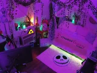 voyeurcam-veccasalt-01 webcam