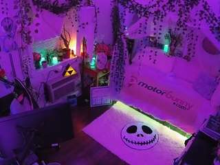voyeurcam-veccasalt-01 webcam