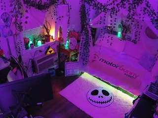 voyeurcam-veccasalt-... webcam