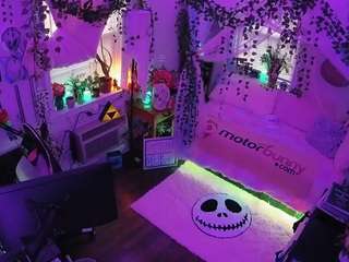 voyeurcam veccasalt 01