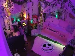 voyeurcam veccasalt 01