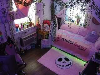 voyeurcam-veccasalt-... webcam