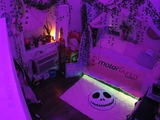 voyeurcam-veccasalt-... webcam