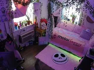 voyeurcam-veccasalt-... webcam