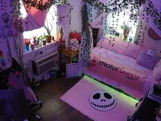 voyeurcam veccasalt 01