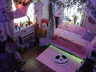 voyeurcam-veccasalt-... webcam