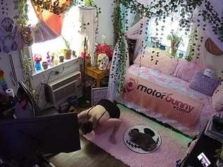 voyeurcam veccasalt 01