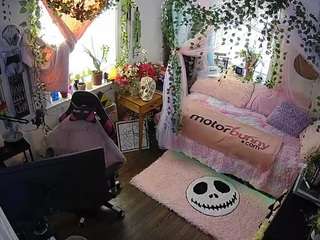 voyeurcam-veccasalt-... webcam