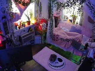 voyeurcam-veccasalt-... webcam