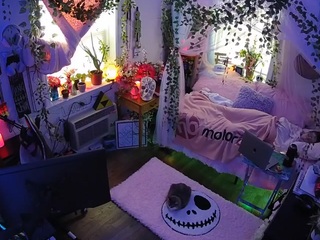 voyeurcam-veccasalt-01