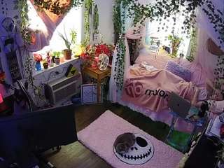 voyeurcam veccasalt 01