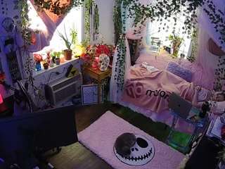 voyeurcam veccasalt 01