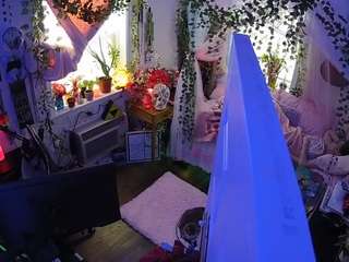 voyeurcam-veccasalt-01