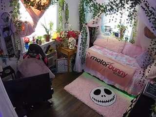 voyeurcam-veccasalt-... webcam