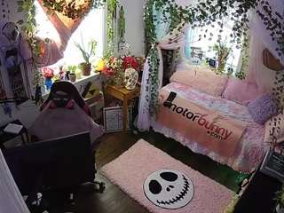 voyeurcam veccasalt 01