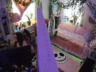 voyeurcam veccasalt 01