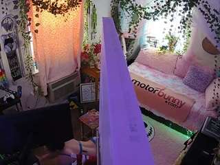 voyeurcam veccasalt 01