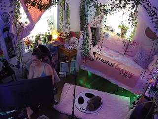 voyeurcam veccasalt 01