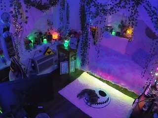 voyeurcam-veccasalt-01